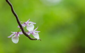 G1ee55344694b46e7190260f0db266a9723fc27de5f29fc83ac026d2cac171eeccf7dd6c1875c79c8b4237942f97c1b2e8fd9ea3cb8893ea4fd345032f0626375 640