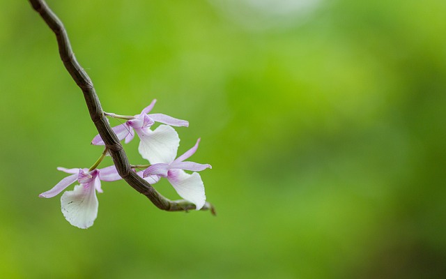 G1ee55344694b46e7190260f0db266a9723fc27de5f29fc83ac026d2cac171eeccf7dd6c1875c79c8b4237942f97c1b2e8fd9ea3cb8893ea4fd345032f0626375 640