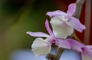 G42771ca828d7b9ac797aa2a27391957d686b0b58e9bb3262a7526bfe811776fa22b297996d73bceaefb058f204a71321814743a6fb134d97cfc69c6e9a315b7b 640