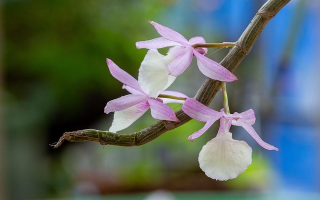 G546f87ffb644c42d26fec6bdb1976004f27d6220191c17be1bd7ee102589bfd8c0ed19fedffc5d67fb7055780fa3ab4506f8319dfff0d8f3e399121b2ba264b5 640