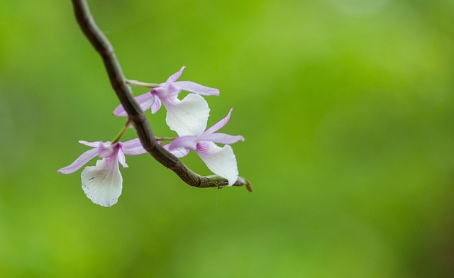 Ga83848d0750e2885513d95a0b351fa53d03e052fabfbdf1599ae2af6d123be6eb53c1e81e230cede53daa94a6c7e3990f3fc7280216359b0c8aa45bdf6075c3a 640